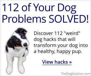 112 Amazing Dog Hacks