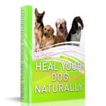Heal Your Dog Naturally Reviews