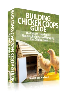 Guide About Building a Chicken Coop