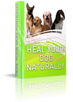 Heal Your Dog Naturally My Personal Reviews