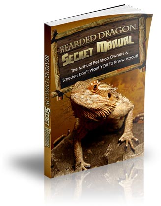 Bearded Dragon Secret Manual 