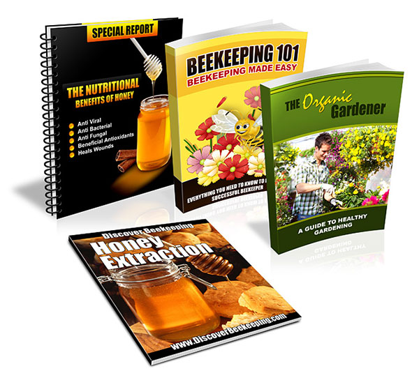 Discover Beekeeping Review