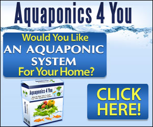 Aquaponics 4 You 