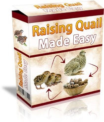 Is it worth it to raise quail? Raising quail can be worth it if you're interested in producing your own eggs, meat, or just enjoying their unique personalities as pets. They are smaller than chickens, require less space and feed, and can be raised in urban or suburban environments. Are quails easy to raise? Quails are generally easy to raise, as they require less space and feed than chickens, and are hardy birds that can withstand a wide range of temperatures. They are also relatively disease-resistant and don't require as much attention as other poultry. What are the disadvantages of quail? Some of the disadvantages of raising quail include the fact that they are smaller and produce fewer eggs than chickens, which may not be suitable for some people. Additionally, they can be difficult to sex at a young age, and may require separate housing for males and females to prevent fighting. Are quail easy for beginners? Quails can be a good option for beginners, as they are generally easy to care for and require less space and feed than other poultry. However, it's important to do your research and learn about their specific requirements before starting a quail flock. How many quail eggs equal 1 chicken egg? It takes approximately four quail eggs to equal one chicken egg in terms of weight and volume. How many eggs do quail lay a day? Quails can lay between 1-2 eggs per day, depending on the breed and age of the bird. However, some breeds may lay fewer eggs, and egg production can be affected by factors such as temperature, daylight hours, and diet. Are quails low maintenance? Quails are generally considered to be low maintenance, as they require less space and feed than chickens and can be raised in smaller backyards or urban environments. They also don't require as much attention as other poultry and are relatively disease-resistant. What size cage for 100 quails? A cage for 100 quails should be at least 25-30 square feet in size, with plenty of space for the birds to move around and access food and water. The cage should also be well-ventilated and provide protection from predators. What is the lifespan of quail? The lifespan of quail varies depending on the breed and environmental factors, but on average they can live between 2-5 years. How many eggs do quails lay? Quails can lay between 1-2 eggs per day, with some breeds producing up to 300 eggs per year. How much room do quail need? Quails require at least 1 square foot of space per bird, but more space is recommended to prevent overcrowding and allow for natural behaviors such as dust bathing and foraging. How many quails are in a cage? Raising quail Made Easy 