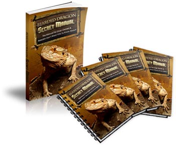 Bearded Dragon Secret Manual Review 