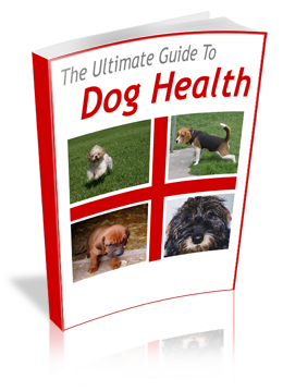 Secrets to Dog Training Review
