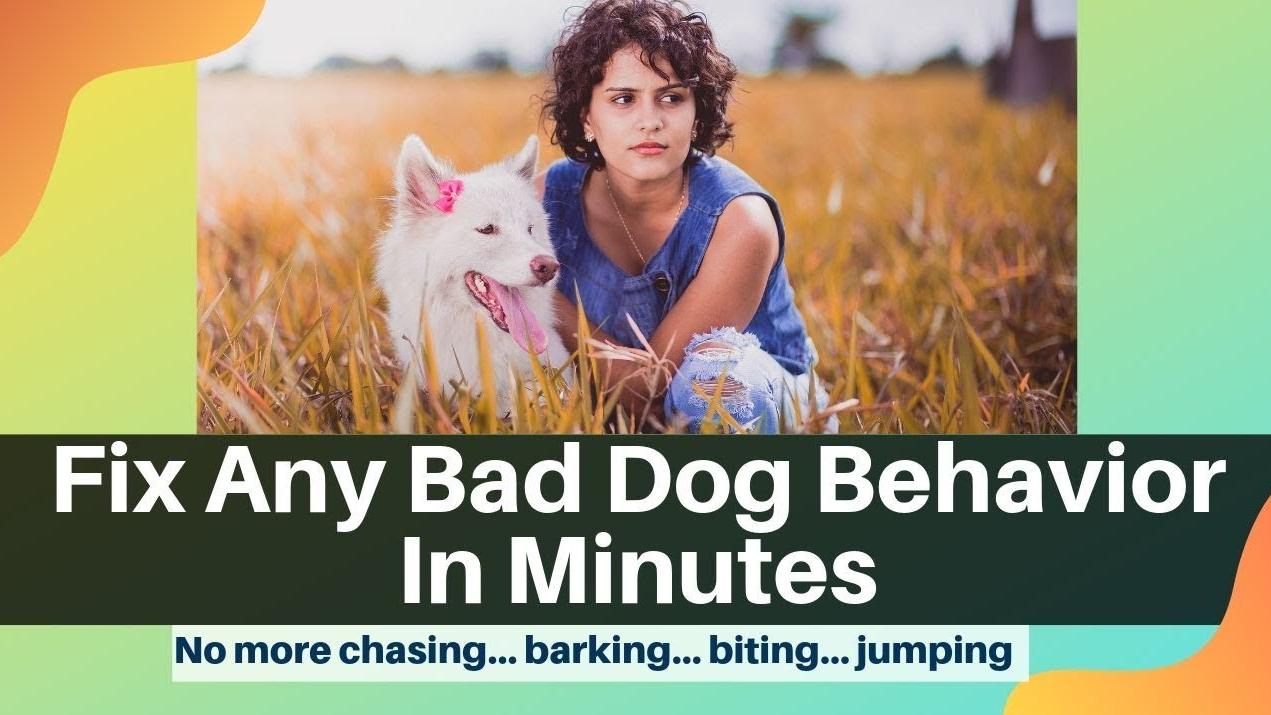 Dog Training Secrets Review 