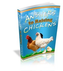 Answers to Raising Chickens